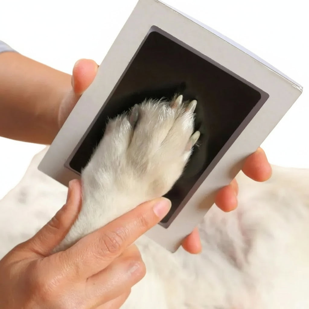 Tierpfote & Babyhand Abdruck-Set