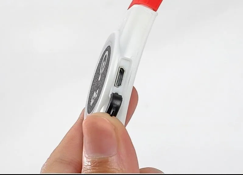 LED Nachtlicht für Hunde