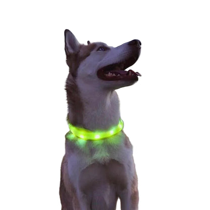 LED Nachtlicht für Hunde